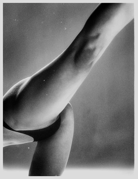 untitled image